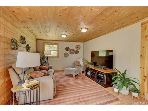 277 Timbertop Rd, Bailey, CO 80421 photo 8