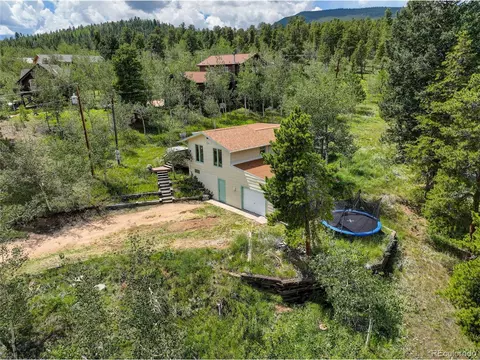 277 Timbertop Rd, Bailey, CO 80421 photo 31