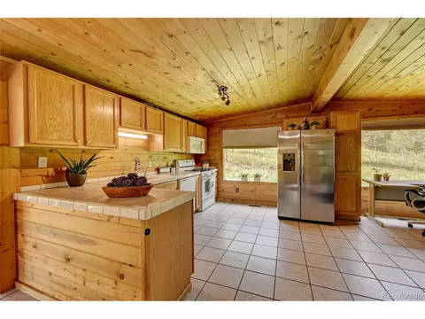 277 Timbertop Rd, Bailey, CO 80421 photo 12
