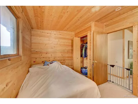 277 Timbertop Rd, Bailey, CO 80421 photo 24