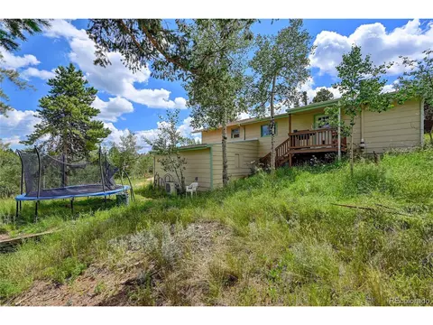 277 Timbertop Rd, Bailey, CO 80421 photo 29