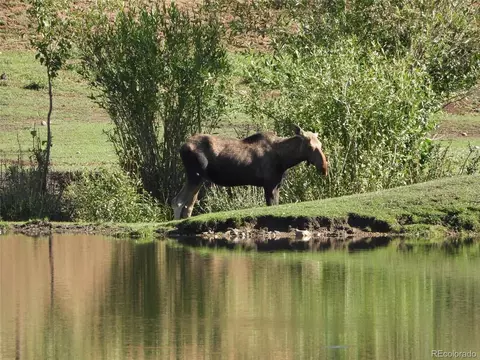277 Timbertop Rd, Bailey, CO 80421 photo 2