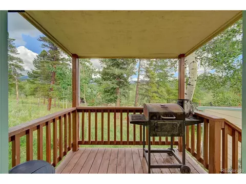 277 Timbertop Rd, Bailey, CO 80421 photo 16