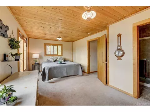 277 Timbertop Rd, Bailey, CO 80421 photo 19