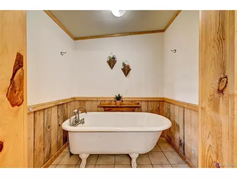 277 Timbertop Rd, Bailey, CO 80421 photo 17