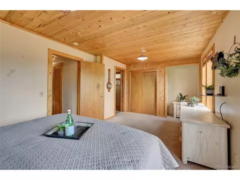 277 Timbertop Rd, Bailey, CO 80421 photo 21