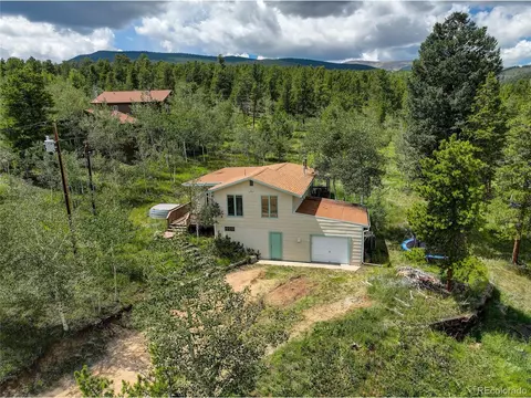 277 Timbertop Rd, Bailey, CO 80421 photo 28