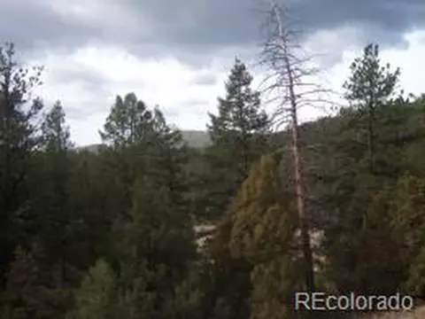 287 Pinyon Trl, Estes Park, CO 80517