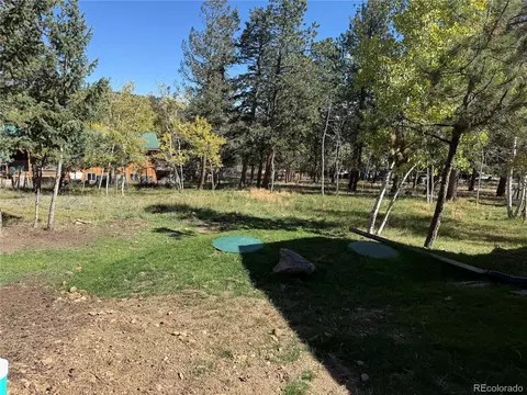 Exterior - 46 Bay Ln, Bailey, CO 80421 photo 6 of 6