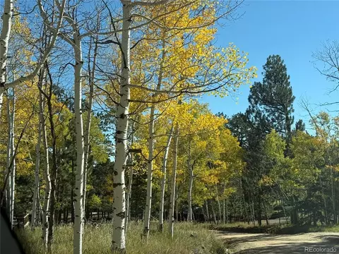 Other - 46 Bay Ln, Bailey, CO 80421 photo 2 of 16