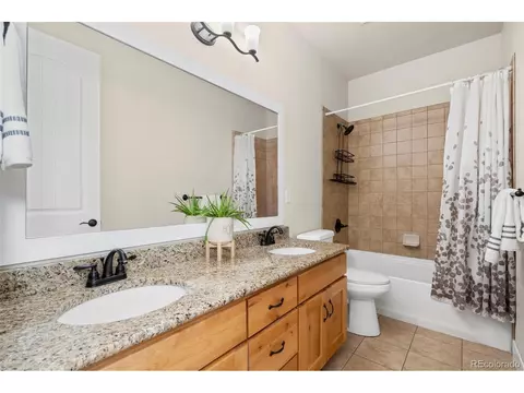 Bath - 611 Gore Range Dr, Windsor, CO 80550 photo 3 of 8