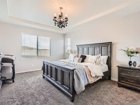 7845 E 139th Pl, Thornton, CO 80602 photo 16