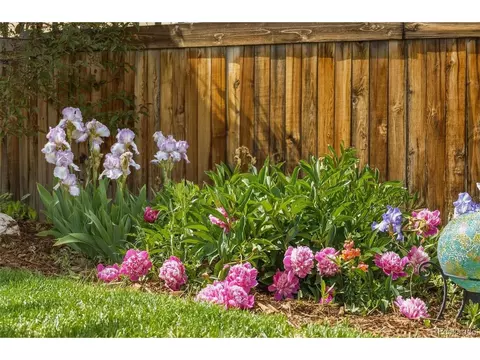 Exterior - 6516 Copper Dr, Erie, CO 80516 photo 7 of 9