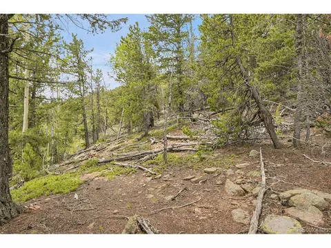 0 Mule Slide Trl, Conifer, CO 80433 photo 26