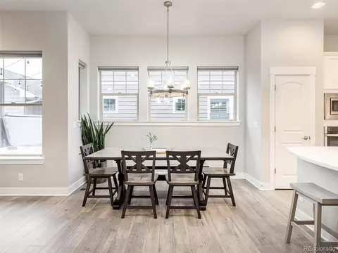 10344 E 60th Pl, Denver, CO 80238 photo 15