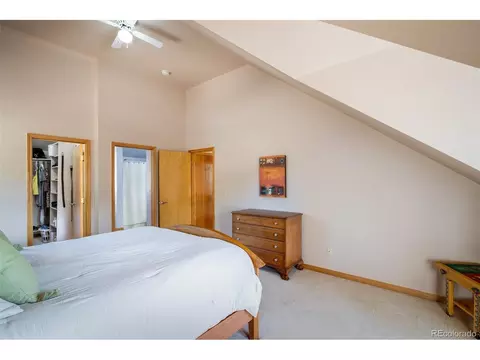 2163 Roland Dr, Bailey, CO 80421 photo 16