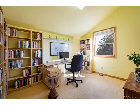 2163 Roland Dr, Bailey, CO 80421 photo 20