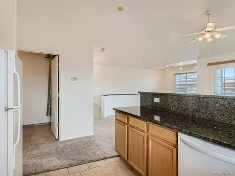 3241 E 103rd Pl #1012, Thornton, CO 80229 photo 6