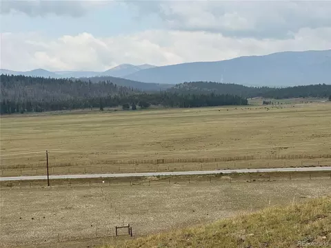 Bare Trl, Hartsel, CO 80449 photo 38