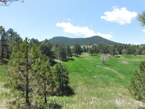 1100 Silverheels Dr, Larkspur, CO 80118