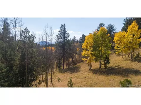 1734 May Queen Dr, Cripple Creek, CO 80813