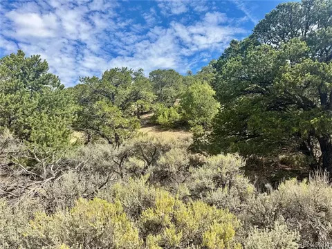 1374 Carter Rd, Fort Garland, CO 81133