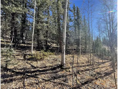 578 Quiver Rd, Como, CO 80432 photo 16