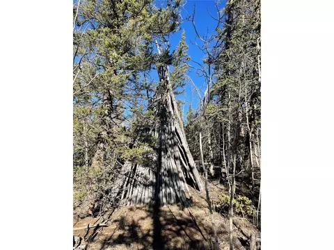 578 Quiver Rd, Como, CO 80432 photo 9