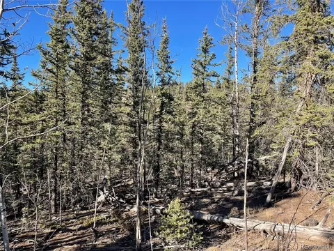 578 Quiver Rd, Como, CO 80432 photo 10