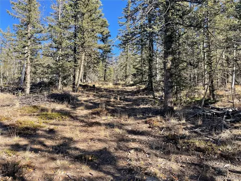 578 Quiver Rd, Como, CO 80432 photo 2