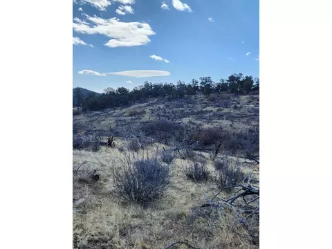 47 35th Trl, Cotopaxi, CO 81223 photo 14
