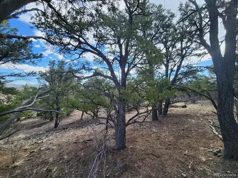 47 35th Trl, Cotopaxi, CO 81223 photo 11