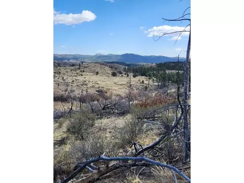 47 35th Trl, Cotopaxi, CO 81223 photo 7
