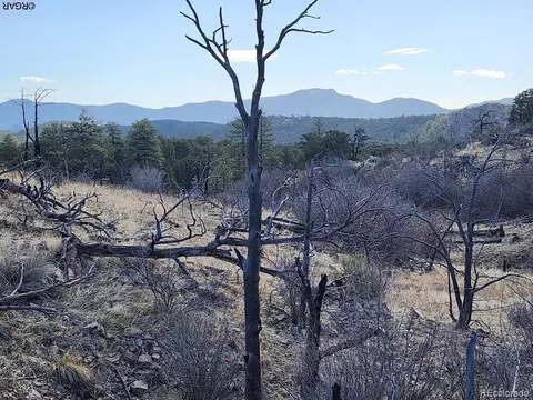 47 35th Trl, Cotopaxi, CO 81223 photo 22
