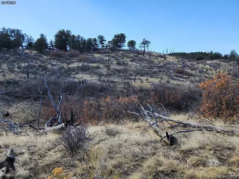 47 35th Trl, Cotopaxi, CO 81223 photo 18
