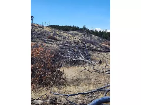 47 35th Trl, Cotopaxi, CO 81223 photo 16