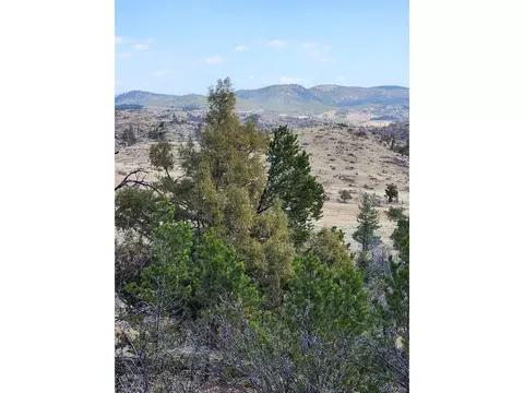 47 35th Trl, Cotopaxi, CO 81223 photo 25