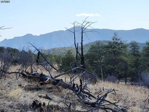 47 35th Trl, Cotopaxi, CO 81223 photo 26