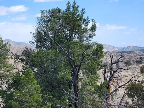 47 35th Trl, Cotopaxi, CO 81223 photo 23