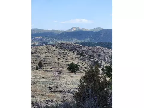 47 35th Trl, Cotopaxi, CO 81223 photo 2