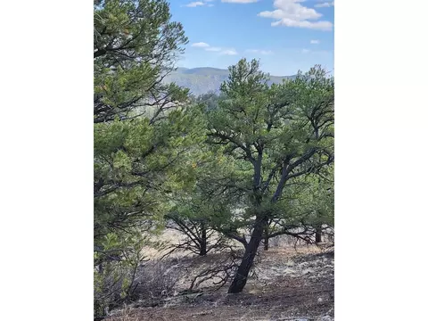 47 35th Trl, Cotopaxi, CO 81223 photo 17