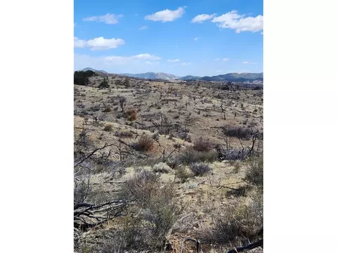47 35th Trl, Cotopaxi, CO 81223 photo 21