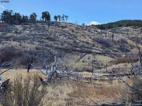 47 35th Trl, Cotopaxi, CO 81223 photo 6