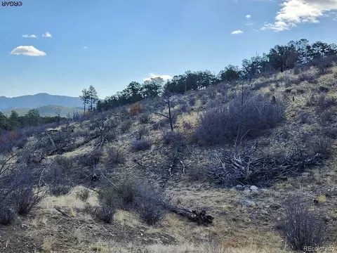 47 35th Trl, Cotopaxi, CO 81223 photo 5