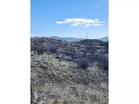47 35th Trl, Cotopaxi, CO 81223 photo 27