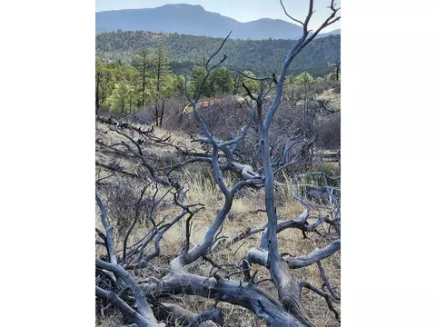 47 35th Trl, Cotopaxi, CO 81223 photo 20