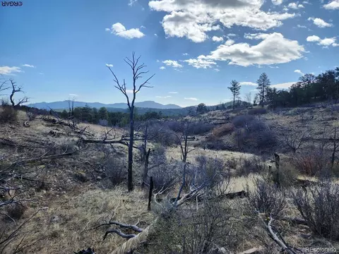 47 35th Trl, Cotopaxi, CO 81223 photo 24