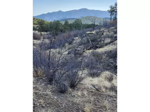 47 35th Trl, Cotopaxi, CO 81223 photo 13