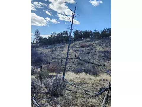 47 35th Trl, Cotopaxi, CO 81223 photo 19