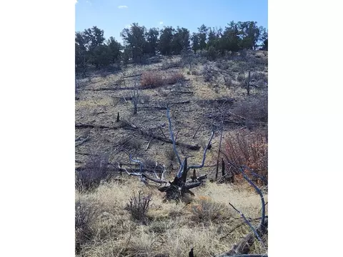 47 35th Trl, Cotopaxi, CO 81223 photo 10